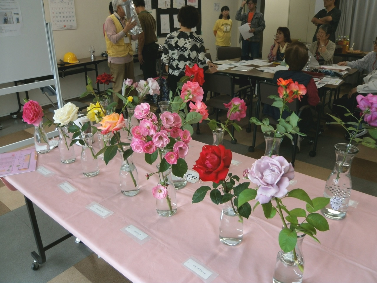 展示した薔薇の写真